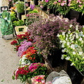 Flower stall at Marché Saxe-Breteuil